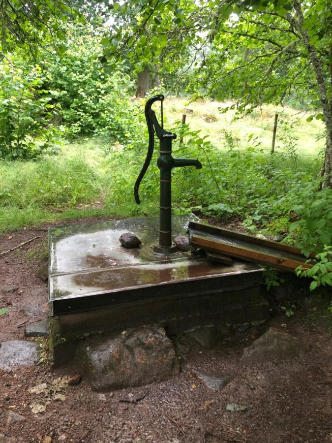Vandrarhem Svaenoe Hillerstorp Kültér fotó